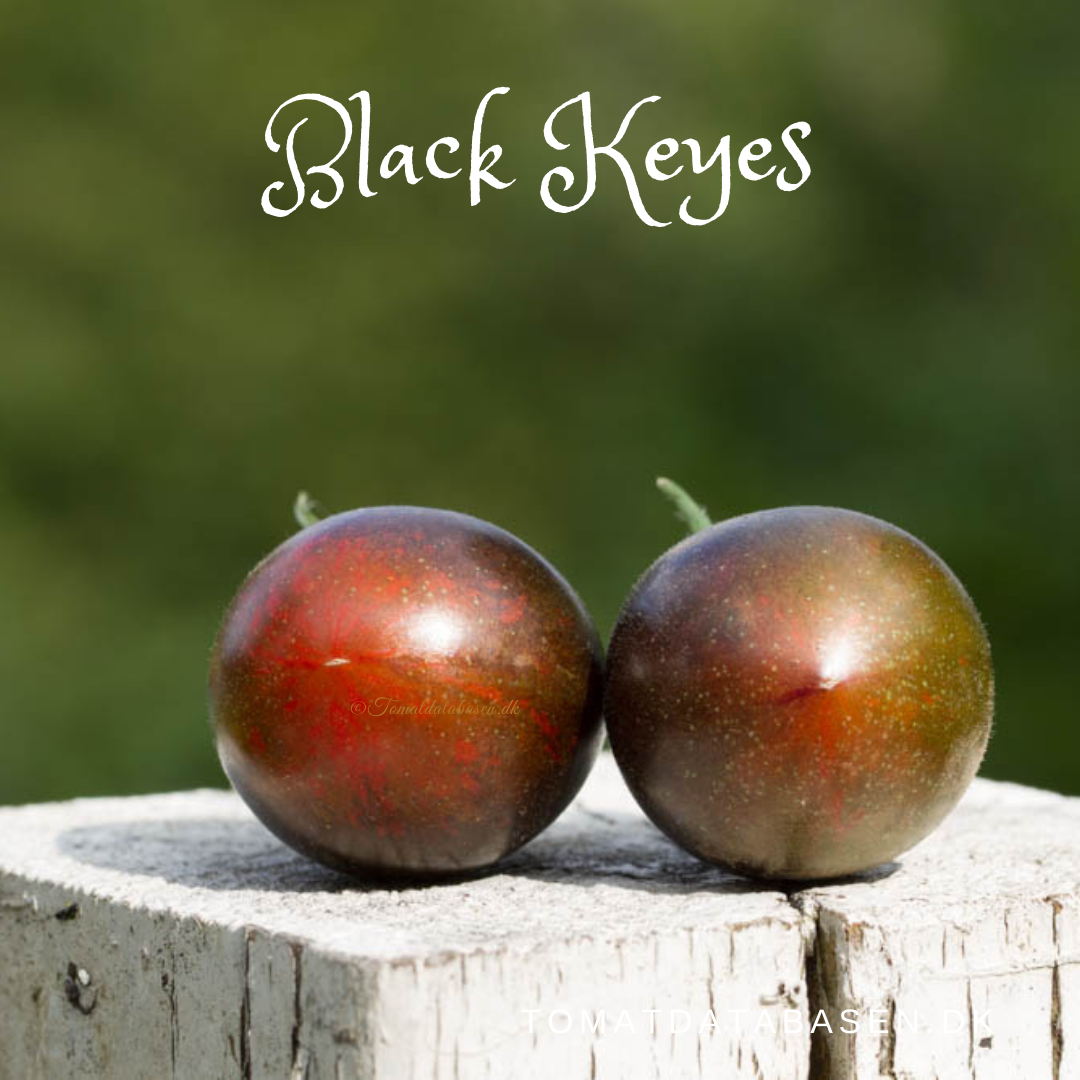 Black Keyes